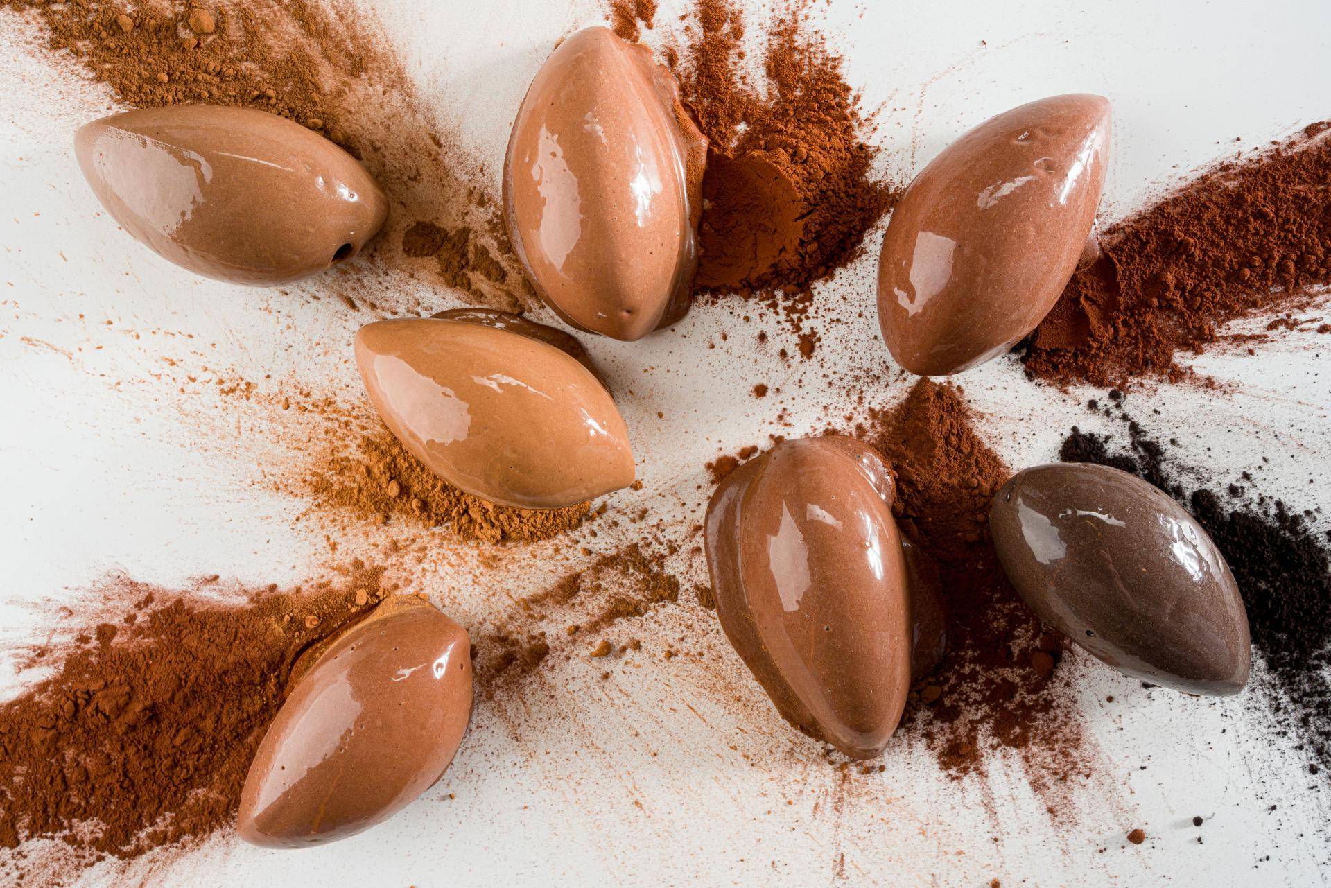 Osem vrst novih kakavov Cacao Barry